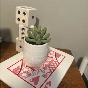 Threshold Cream Tabletop Succulent